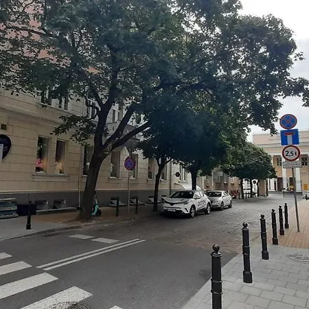 דירה Mansarda Ogrod Saski Centrum Csk Zwirki I Wigury לובלין