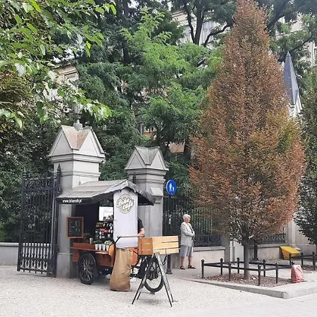 Mansarda Ogrod Saski Centrum Csk Zwirki I Wigury