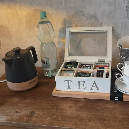 Mansarda Ogrod Saski Centrum Csk Zwirki I Wigury