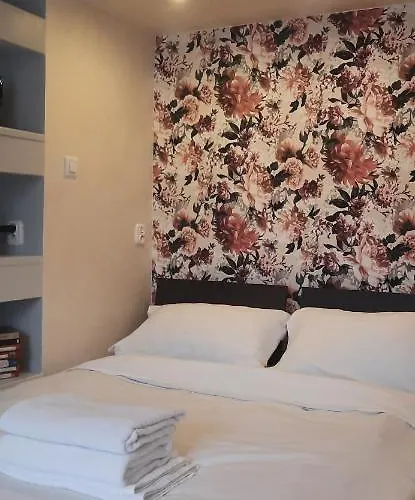 Apartment Mansarda Ogrod Saski Centrum Csk Zwirki I Wigury